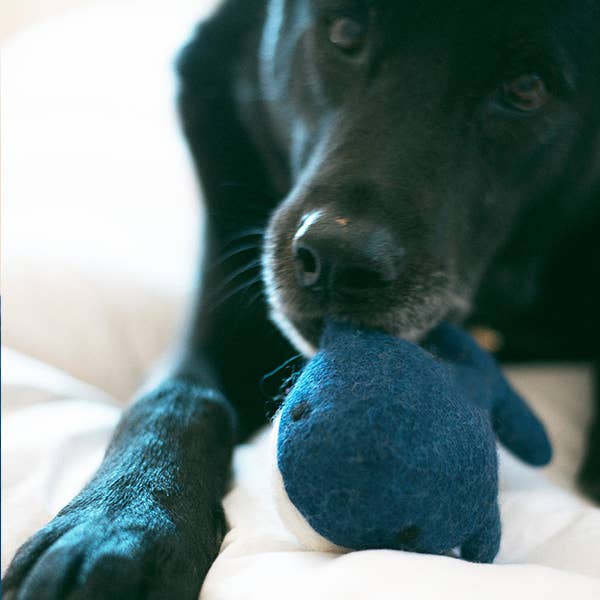 Whale Wool Dog &amp; Cat Toy