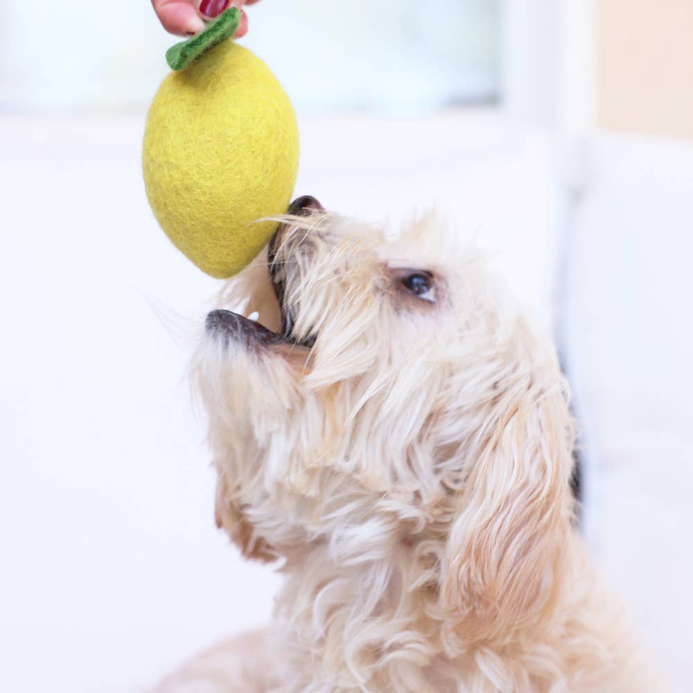 Lemon Wool Dog &amp; Cat Toy