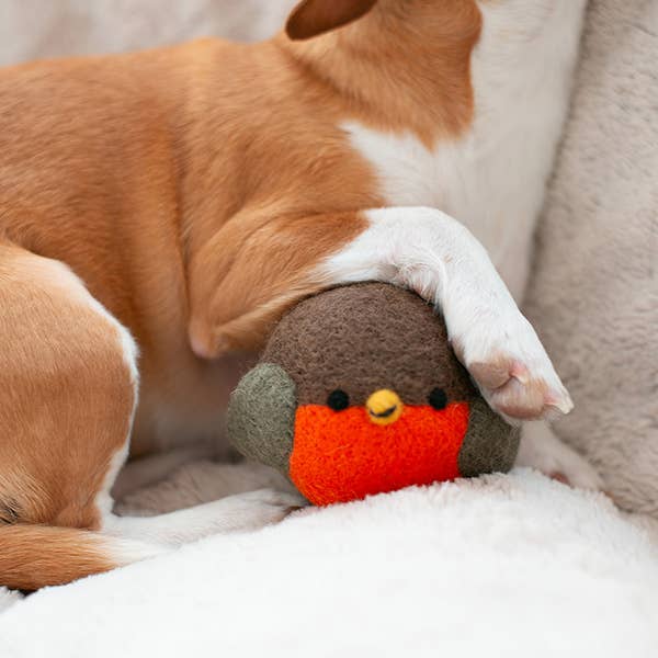 Robin Dog Toy