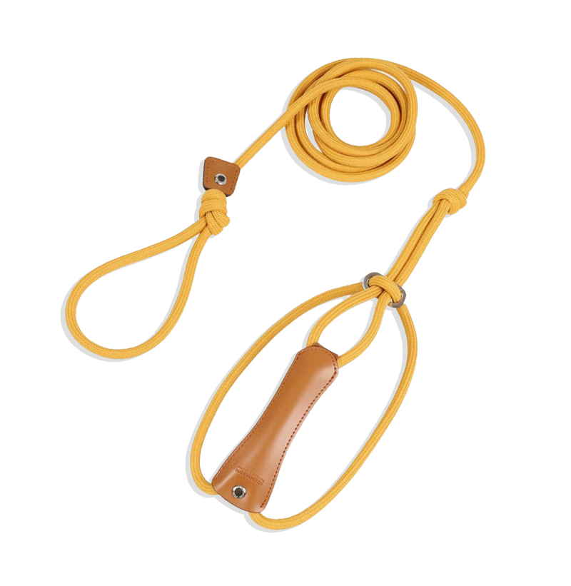 All-In-One Harness