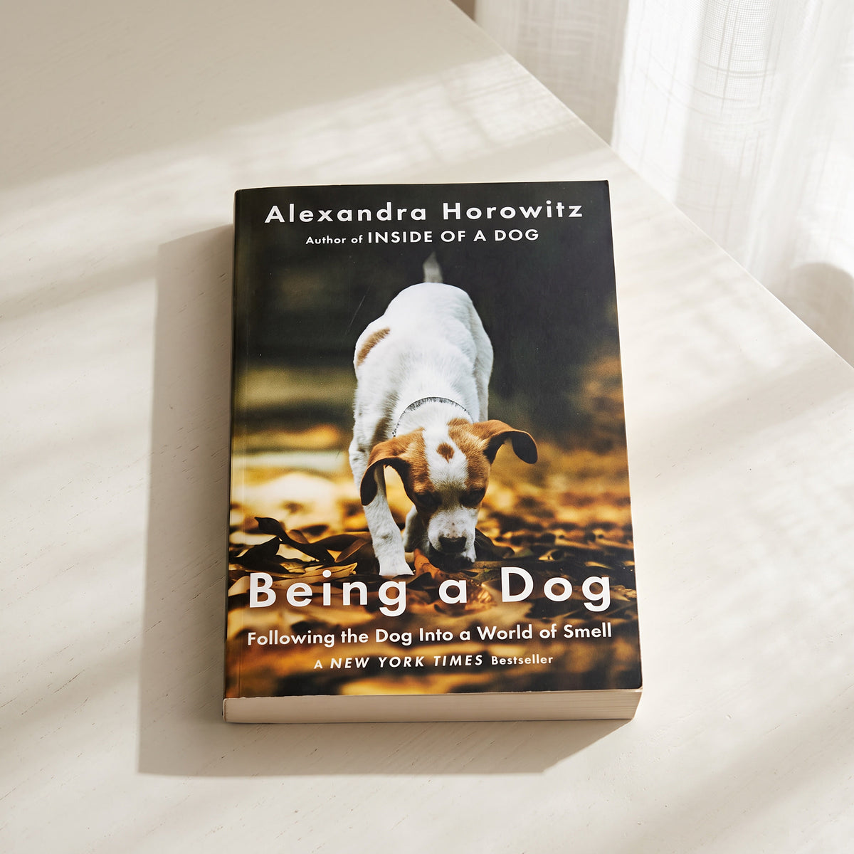 Being a Dog by Alexandra Horowitz