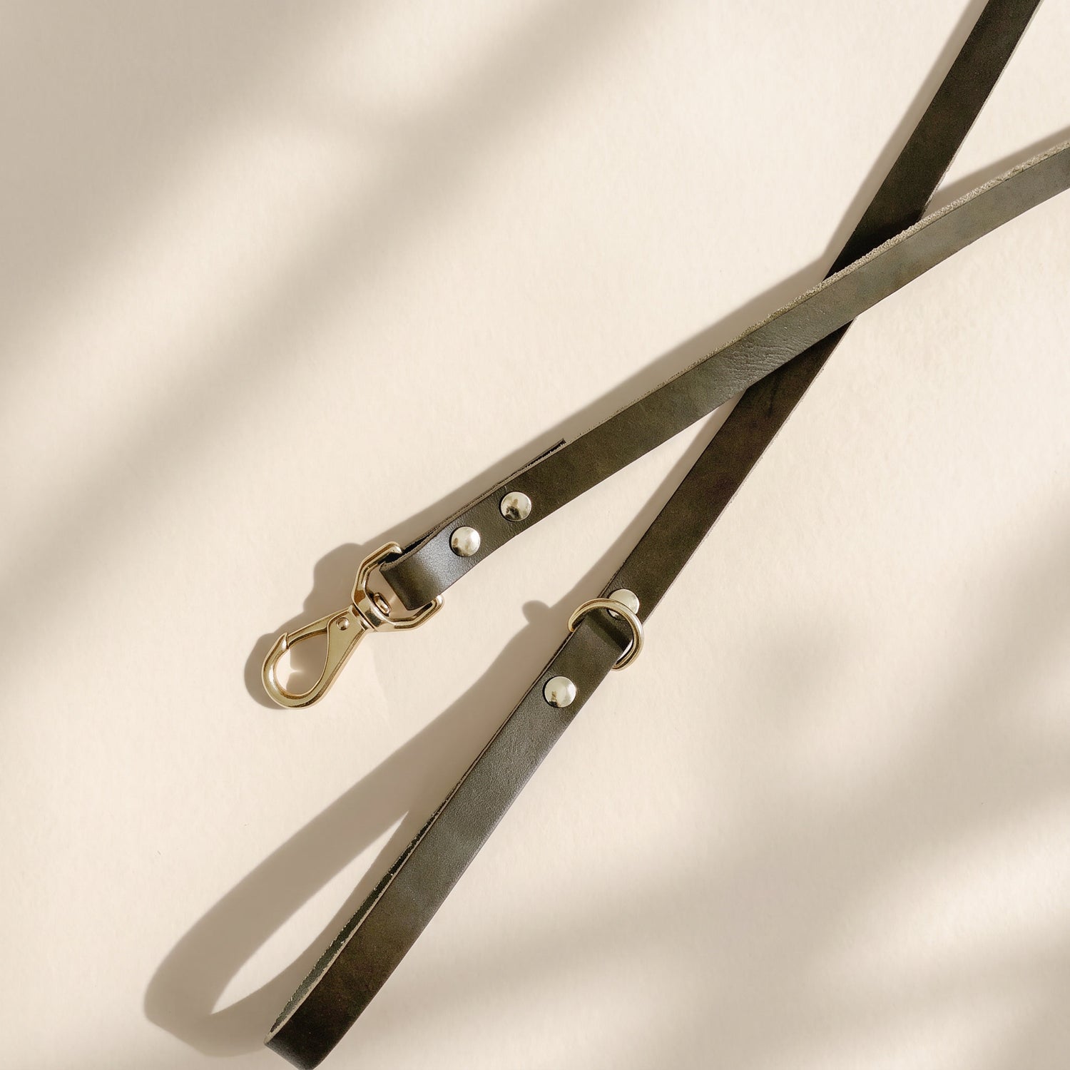 Leather Dog Leash