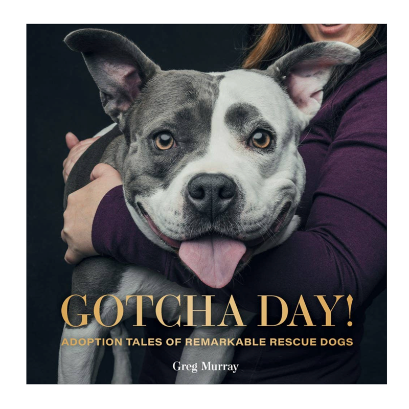 Gotcha Day
