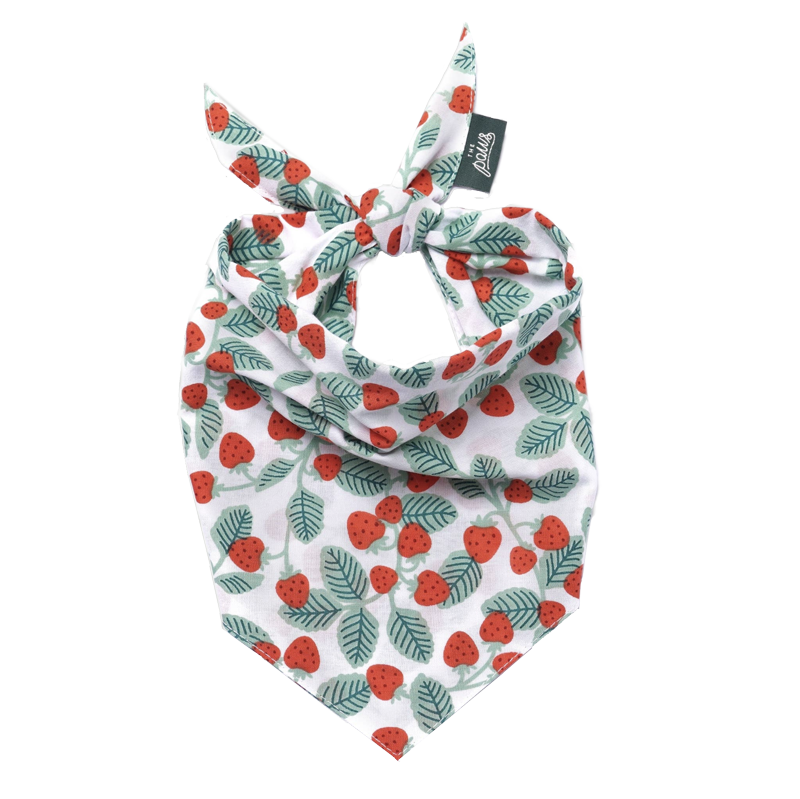 Henley Wild Berry Bandana