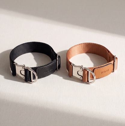 Buckle Strap Collar