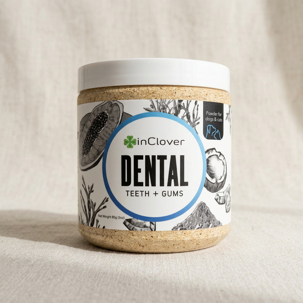 InClover Dental - Teeth &amp; Gums