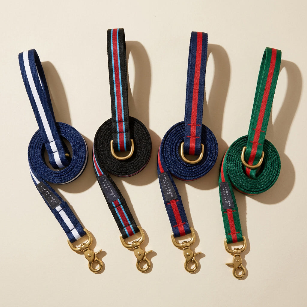 Ivy League Prep Leash