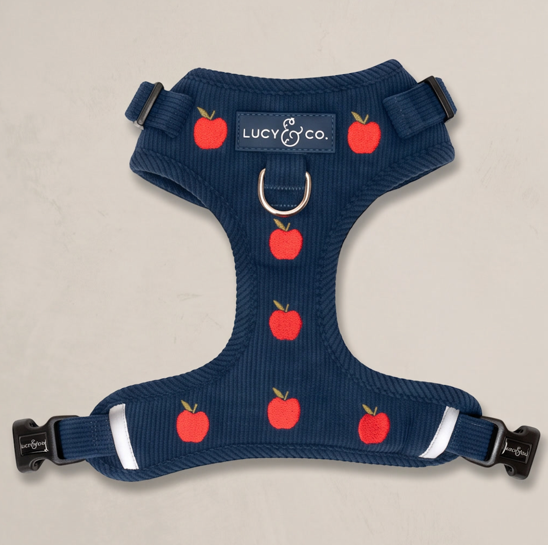Appley Ever After Corduroy No-Pull Harness