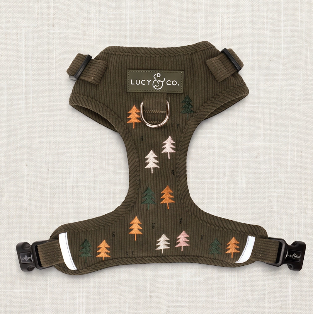 Take a Hike Corduroy No-Pull Harness