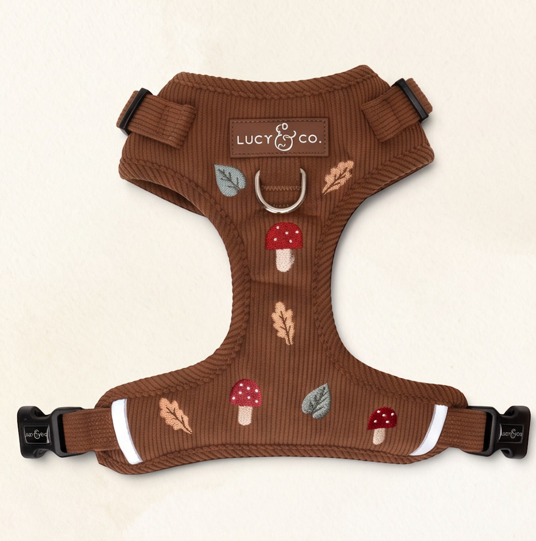 Woodland Wonder Corduroy No-Pull Harness