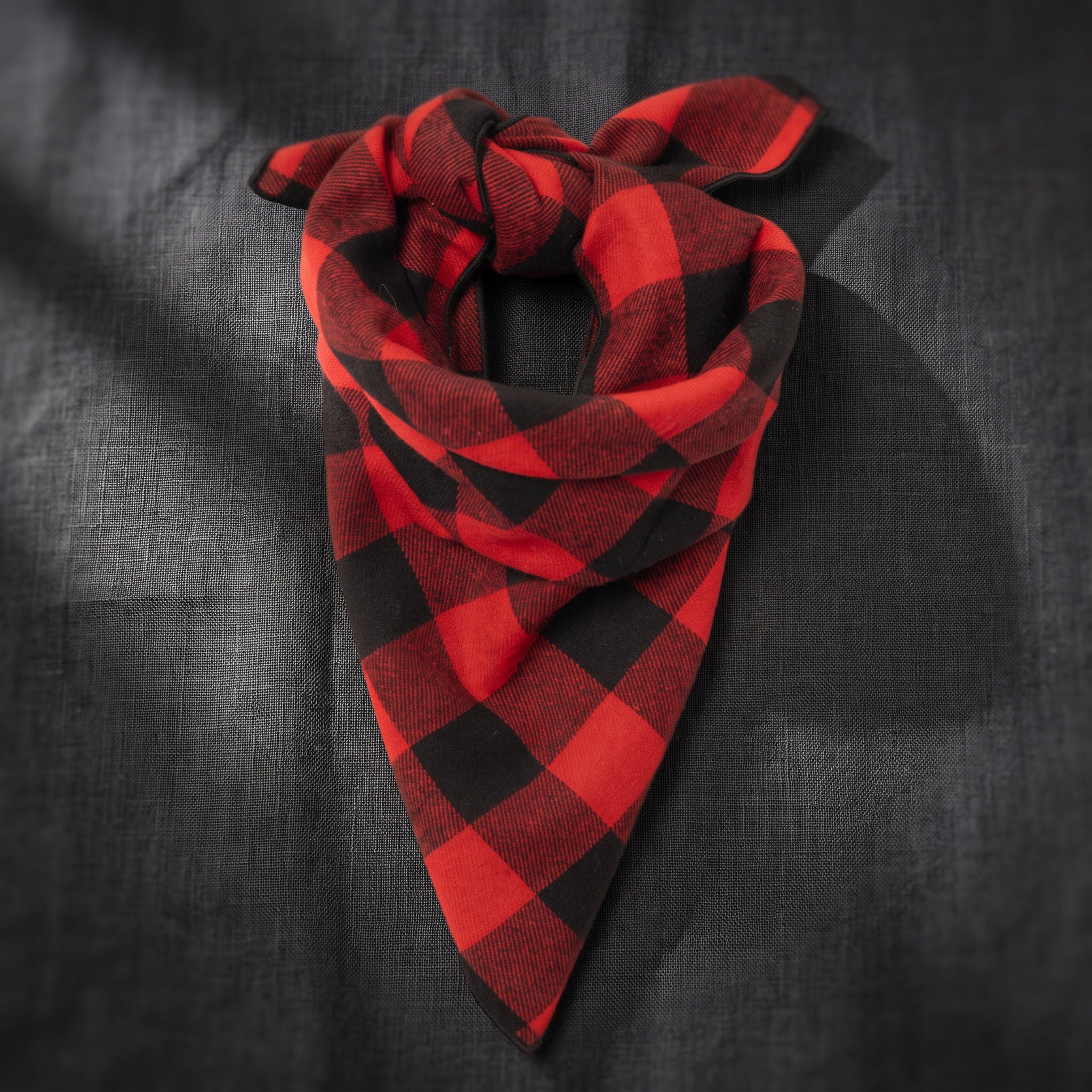Red Buffalo Plaid Bandana