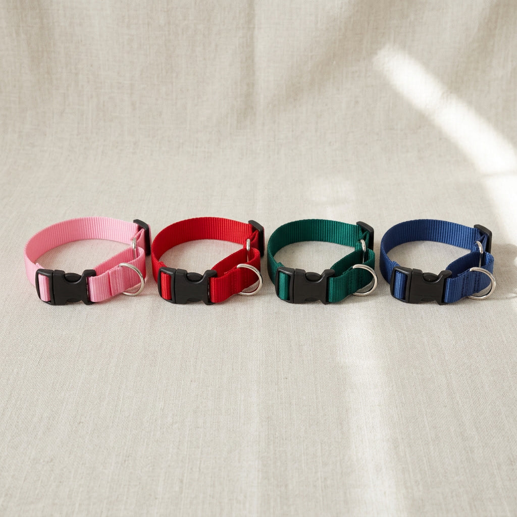Nylon Martingale Loop Dog Collar