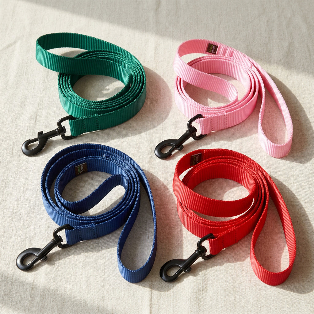 Nylon Webbing Dog Leash