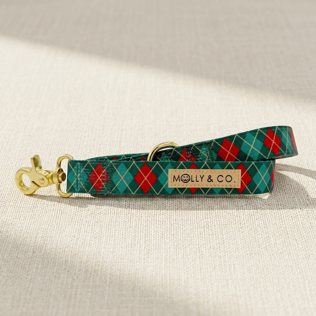 Evergreen Argyle - Dog Leash