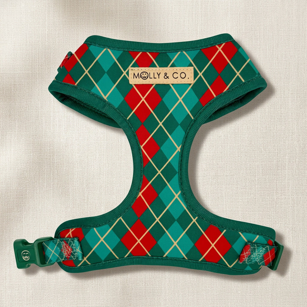 Evergreen Argyle Dog Harness