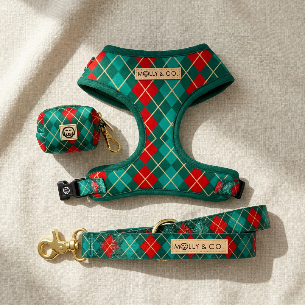 Evergreen Argyle - Dog Leash