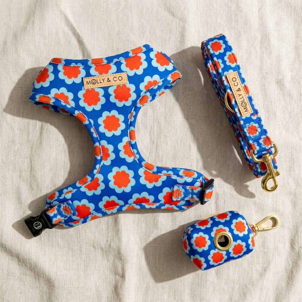 Sorrento - Dog Leash