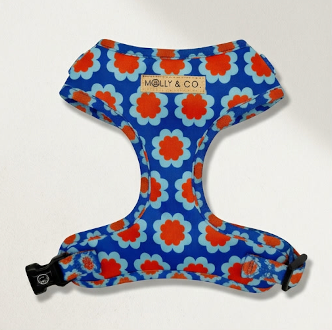 Sorrento - Adjustable Dog Harness