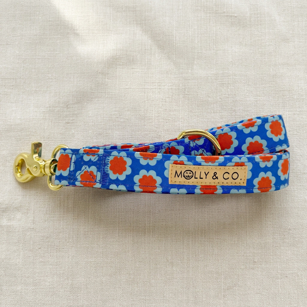Sorrento - Dog Leash