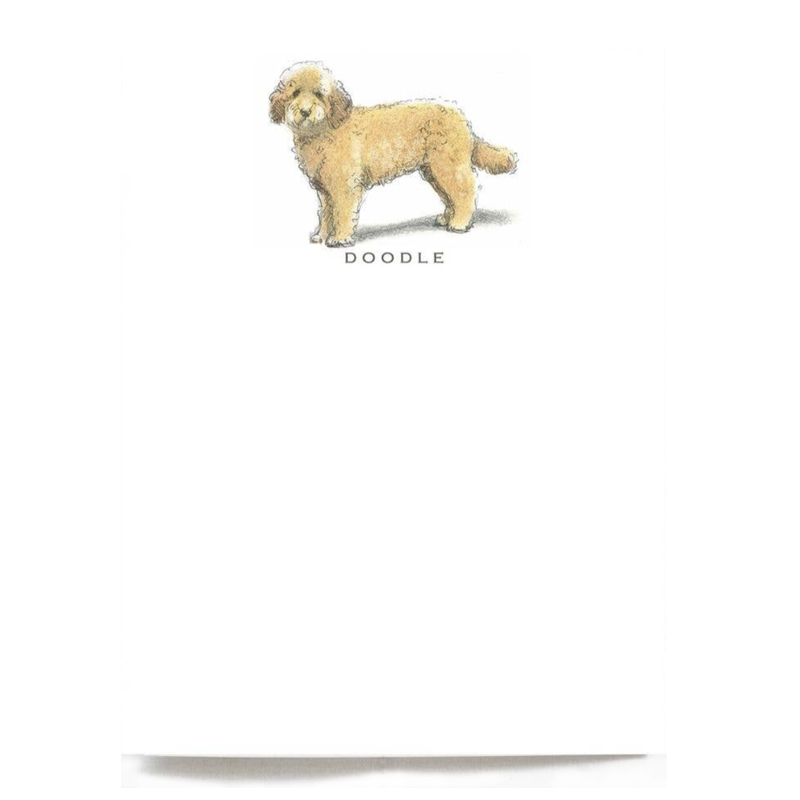 Doodle Note Cards - Set of 6