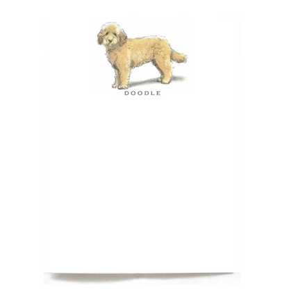 Doodle Note Cards - Set of 6