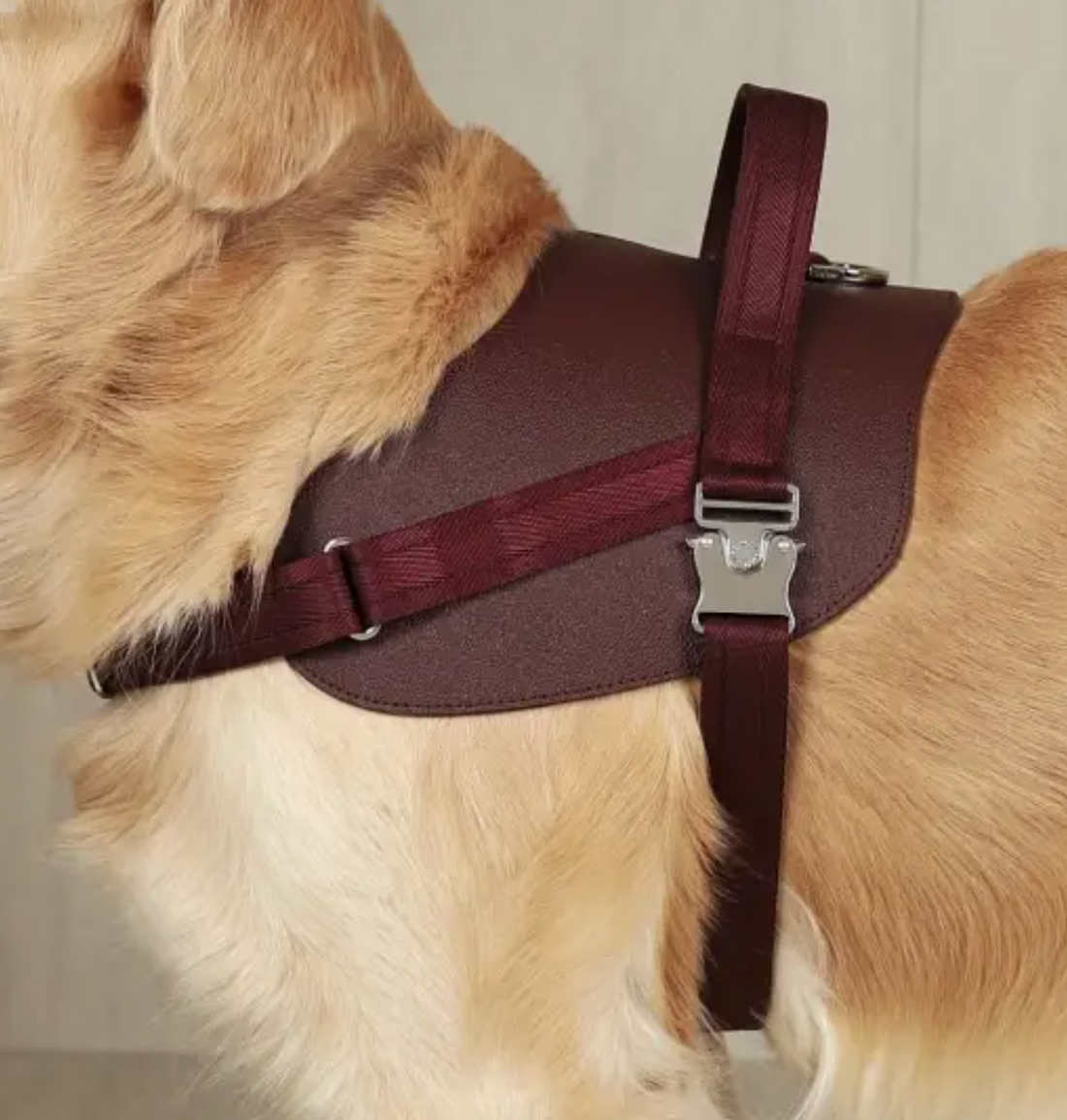 Saddle Harness