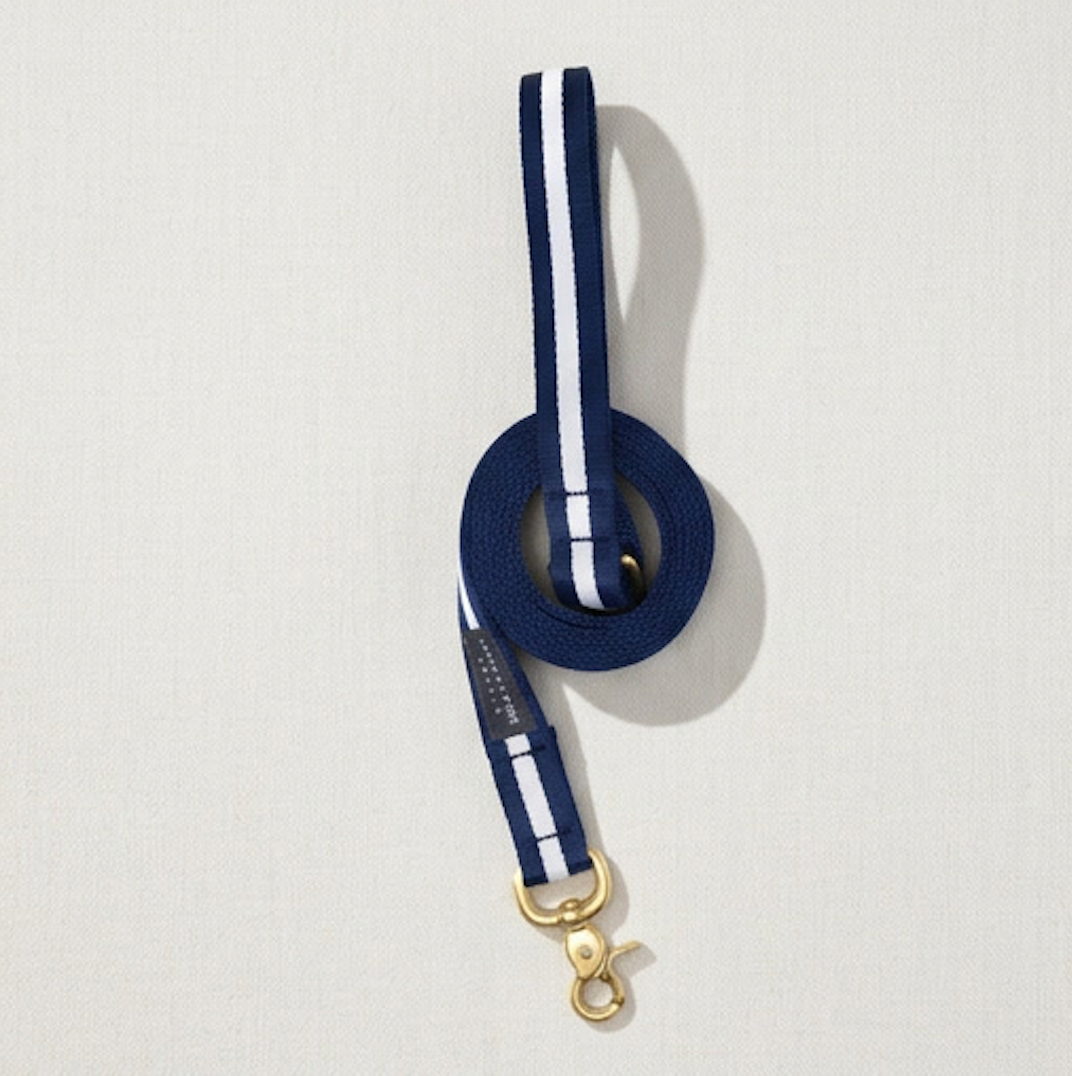 Ivy League Prep Leash