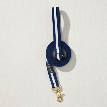 Ivy League Prep Leash