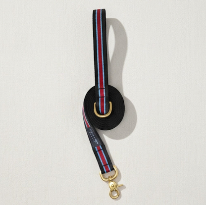 Ivy League Prep Leash