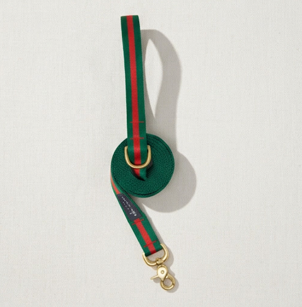 Ivy League Prep Leash