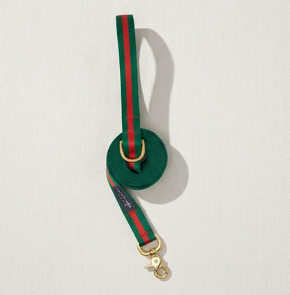 Ivy League Prep Leash