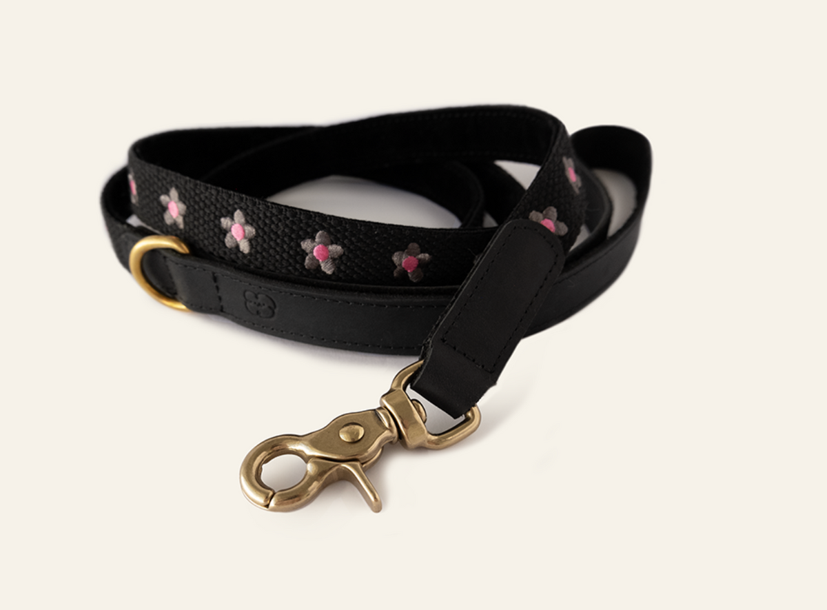 Daisy Leather Dog Leash