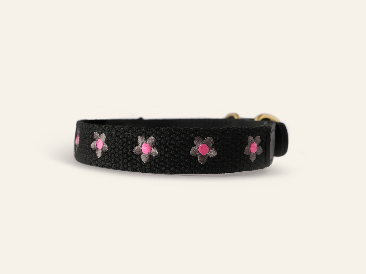 Daisy Leather Dog Collar