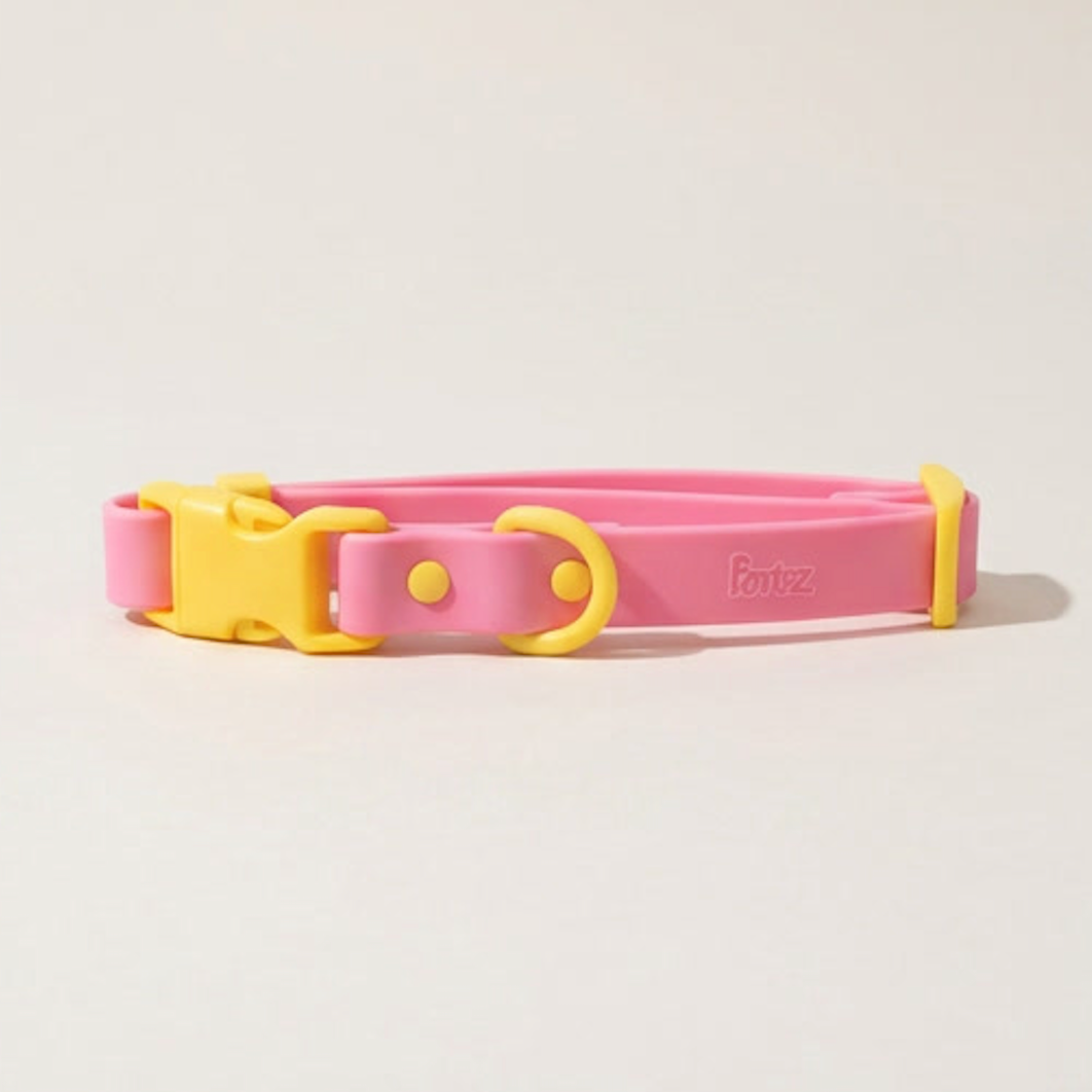The Fritz Dog Collar 