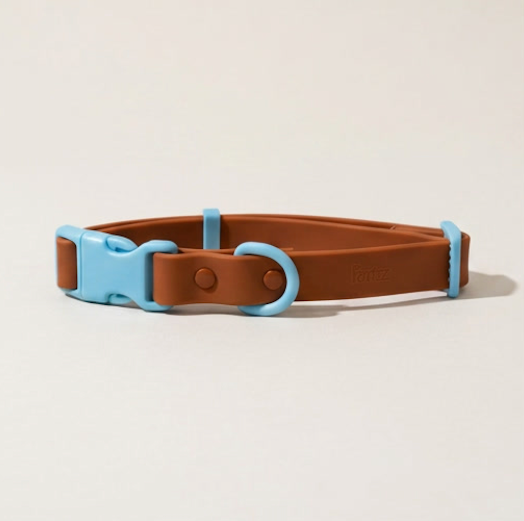 The Fritz Dog Collar 