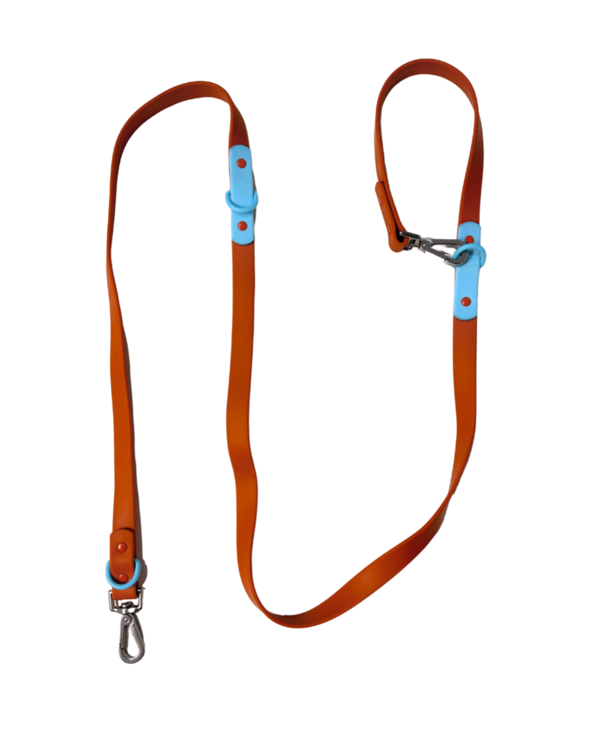 The Fritz Dog Leash