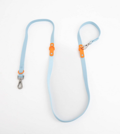 The Fritz Dog Leash