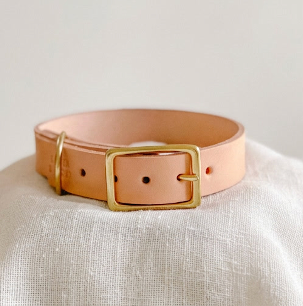 Wide Leather Dog Collar