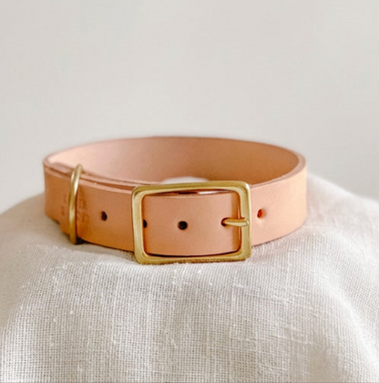 Wide Leather Dog Collar