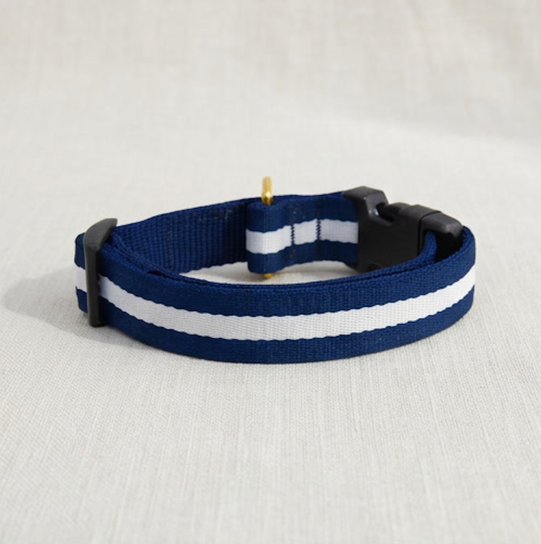 Ive League Prep Collar