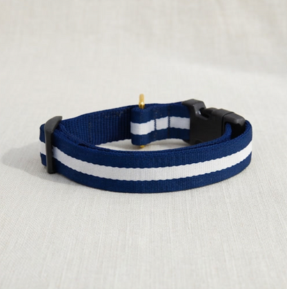 Ive League Prep Collar