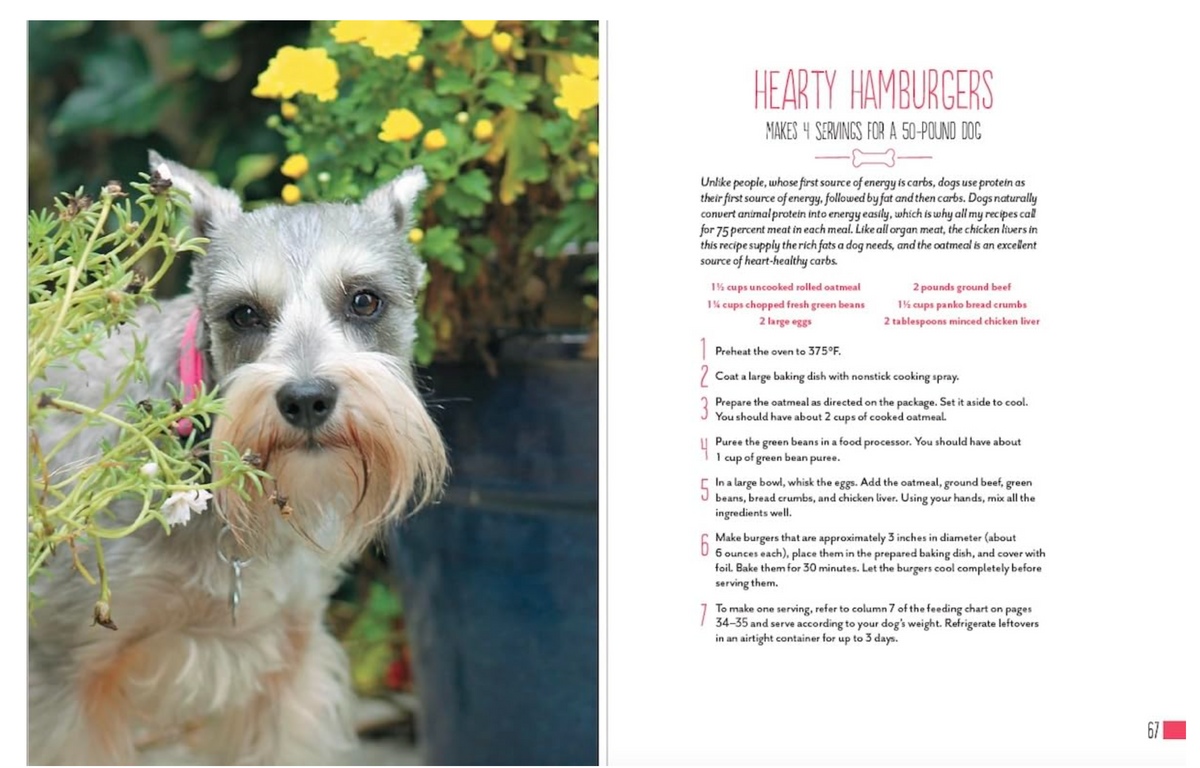 Home Cooking for Your Dog: 75 Holistic Recipes Book