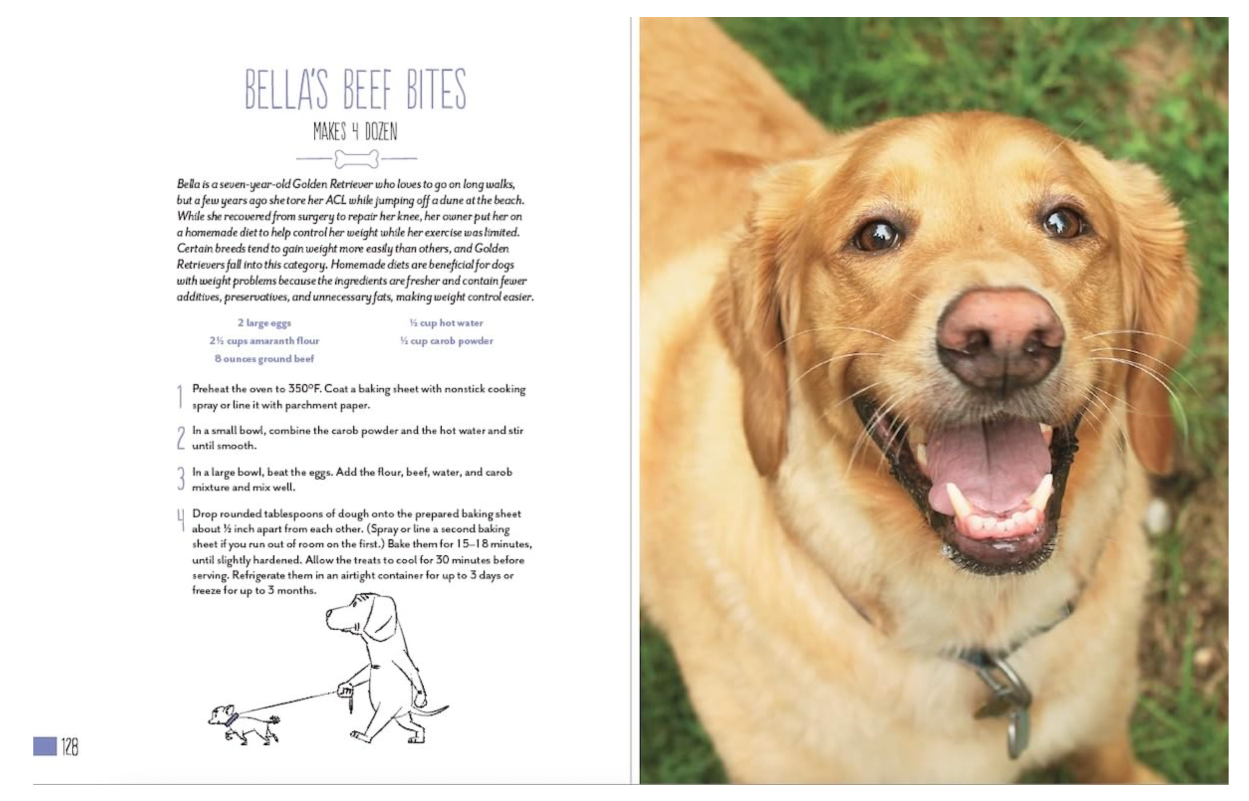 Home Cooking for Your Dog: 75 Holistic Recipes Book