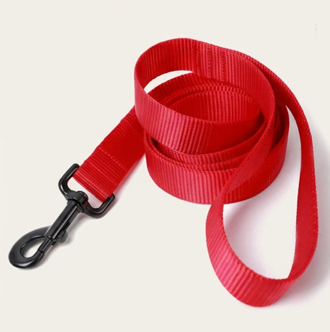 Nylon Webbing Dog Leash