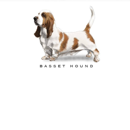 Fable &amp; Sage Note Card Sets - 24 Breeds