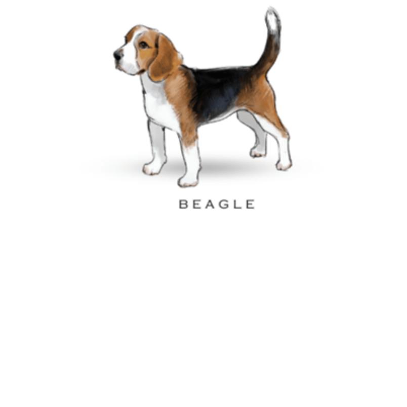 Fable &amp; Sage Note Card Sets - 24 Breeds