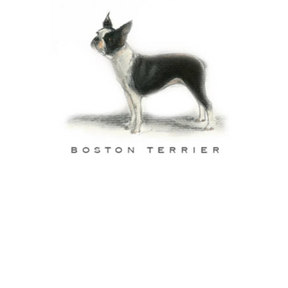 Fable &amp; Sage Note Card Sets - 24 Breeds