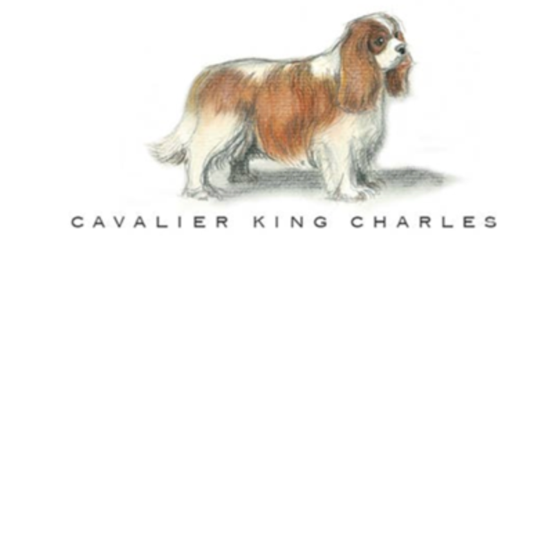 Fable &amp; Sage Note Card Sets - 24 Breeds