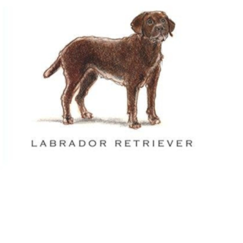 Fable &amp; Sage Note Card Sets - 24 Breeds