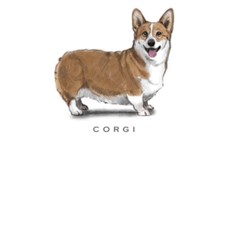 Fable &amp; Sage Note Card Sets - 24 Breeds